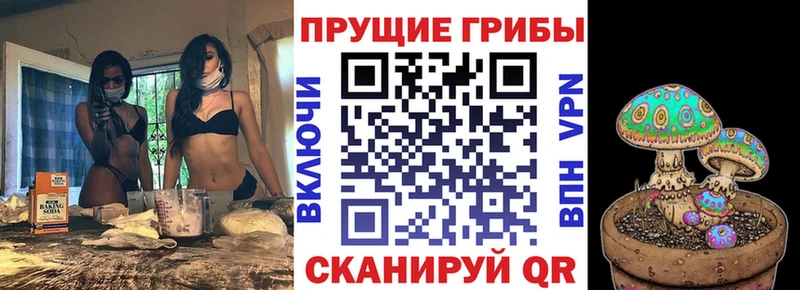 Галлюциногенные грибы Psilocybine cubensis Старая Купавна